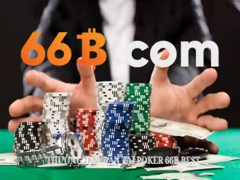 guess gu00198-h 66b: Đổi mới và giá trị công nghệ