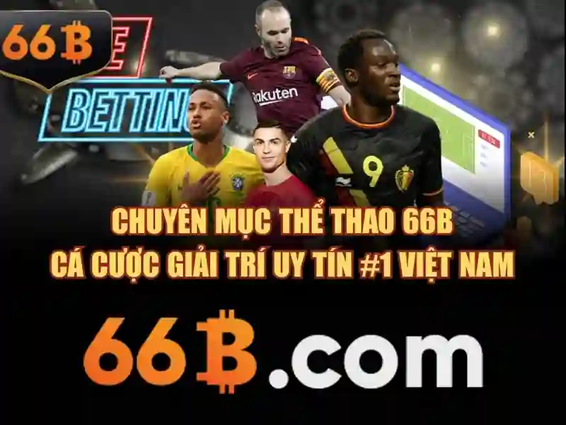 66b – Trải nghiệm người dùng và phản hồi