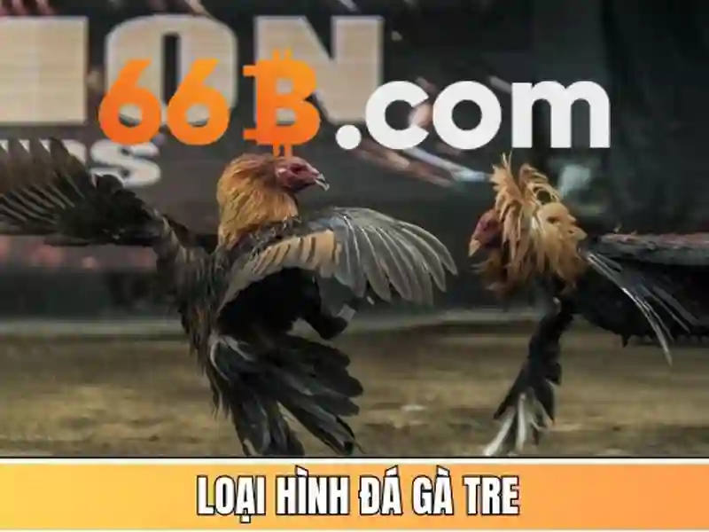 tài khoản 66b – hành trình trải nghiệm và đánh giá