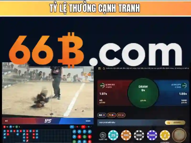 66b bet com – nền tảng thương hiệu và SEO hiệu quả cho doanh nghiệp