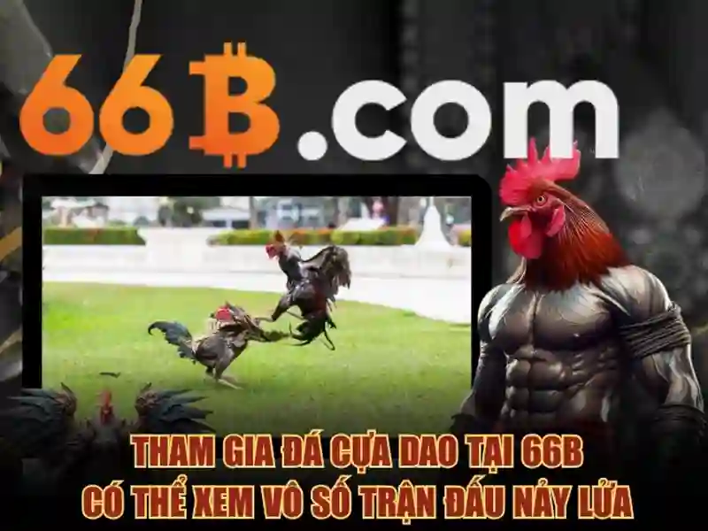 Sản phẩm và dịch vụ chính mà mậu binh 66b mang đến