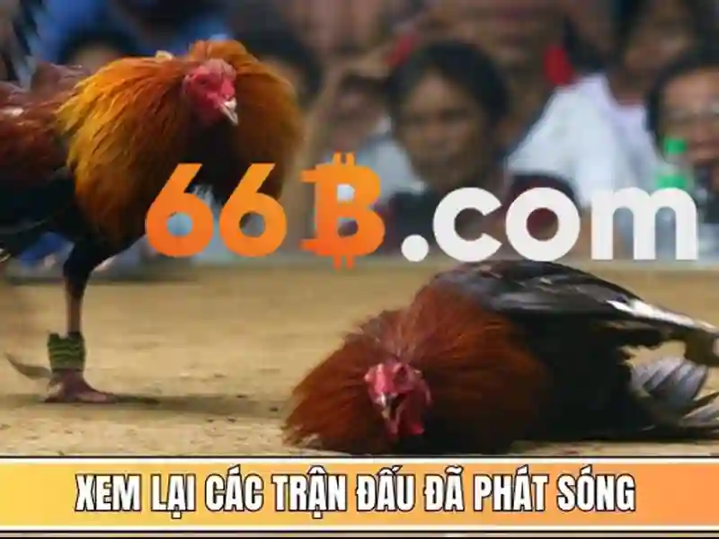 66b: Ý nghĩa và ứng dụng trong toán học và công nghệ