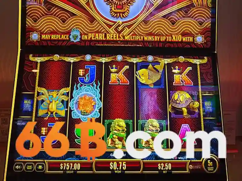 sa18-66b-ae: Khám phá giá trị và trải nghiệm