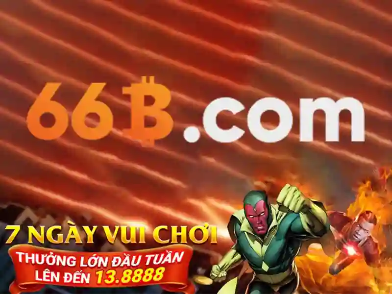 66B là gì?