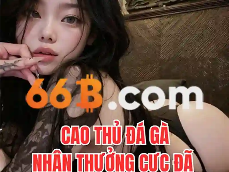 Tổng kết và lời mời trải nghiệm