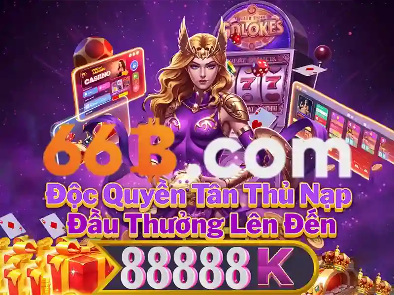 66b có giấy phép không – Trải nghiệm và phản hồi