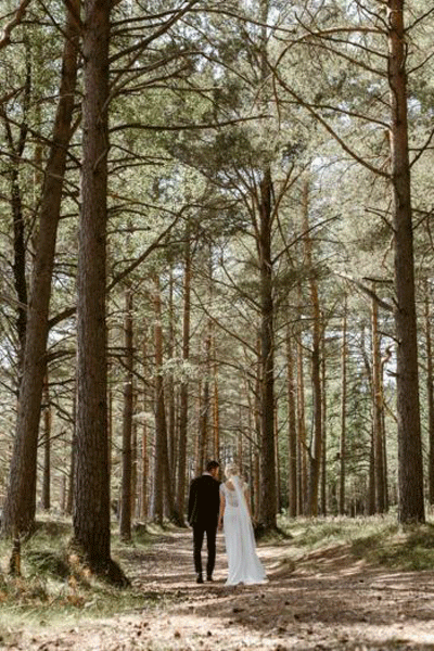 عکس عروس و داماد در حال قدم زدن در جنگل